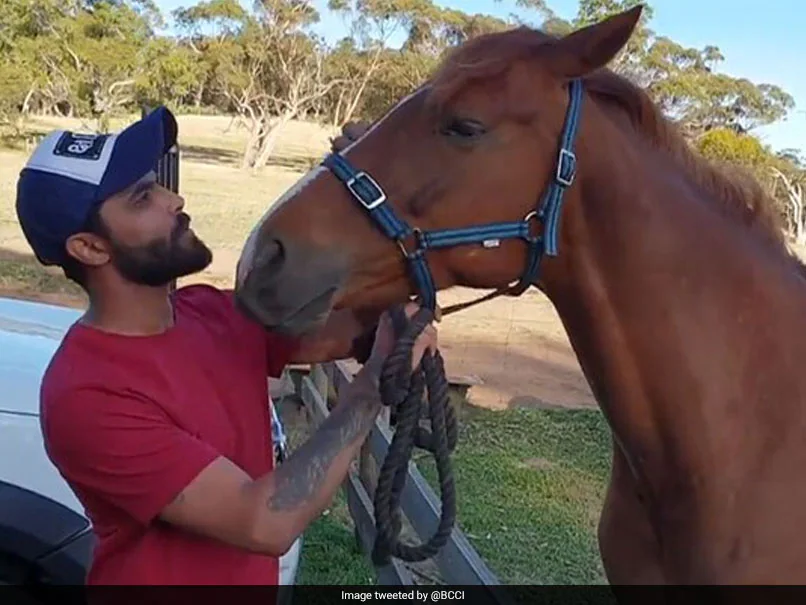 Is Jadeja a horse lover?