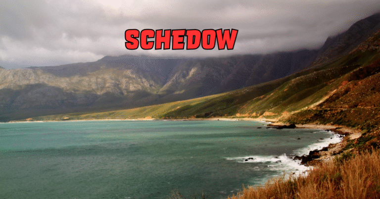 Schedow