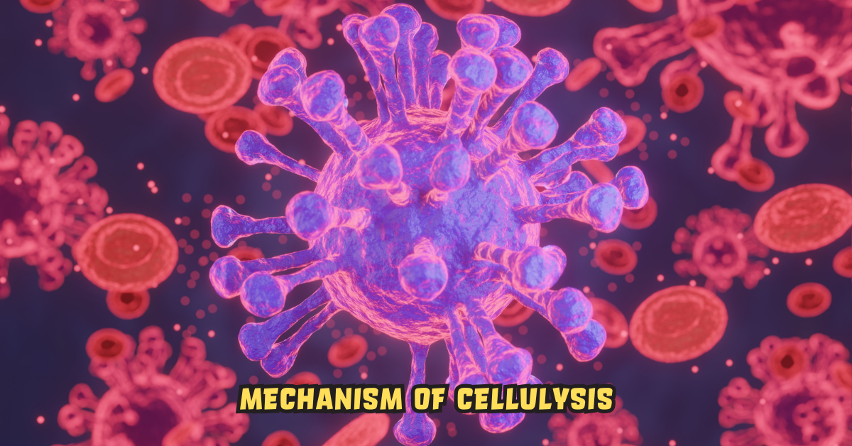 Cellulysis