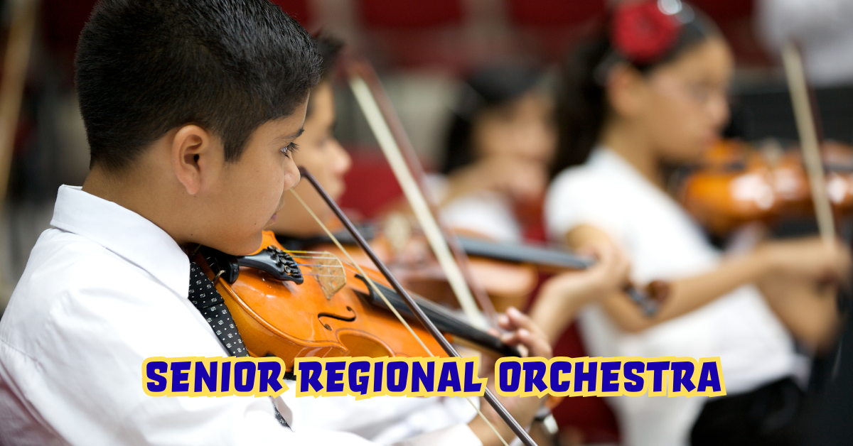 Senior Regional Orchestra
