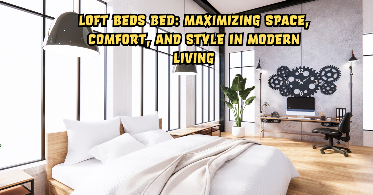 Loft Beds Bed