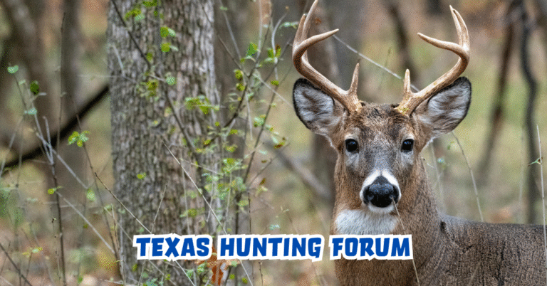 Texas Hunting Forum