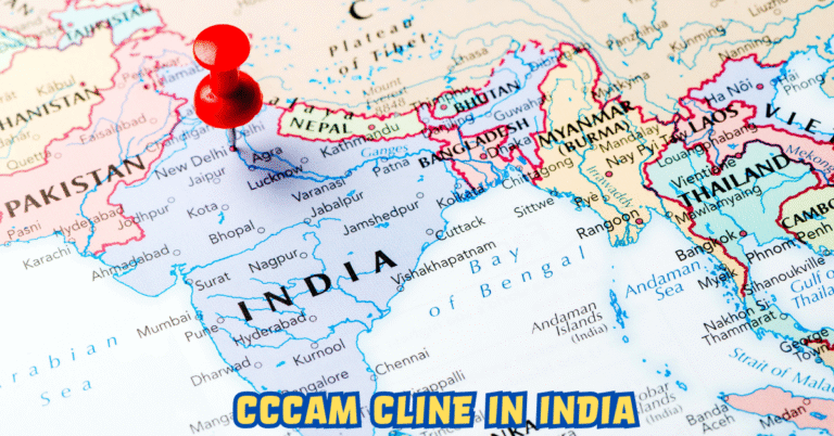 CCCAM Cline in India