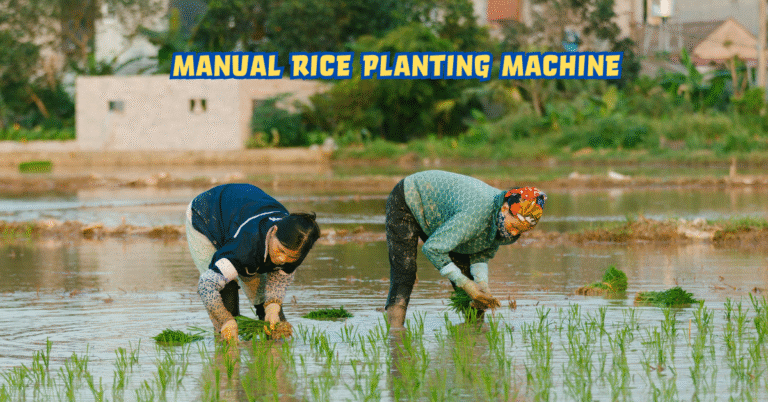 Manual Rice Planting Machine