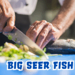 Big Seer Fish
