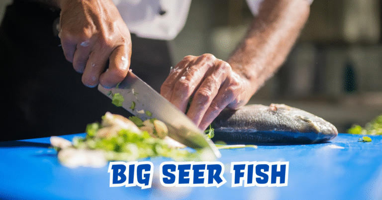 Big Seer Fish