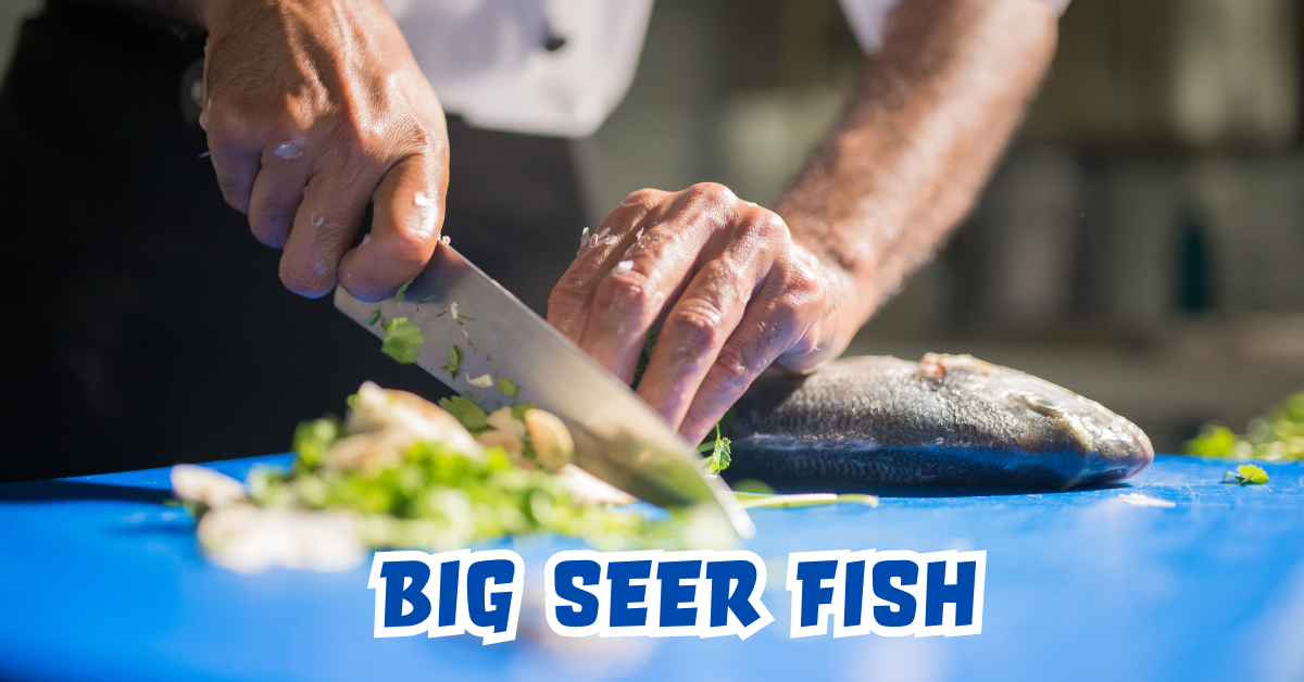Big Seer Fish