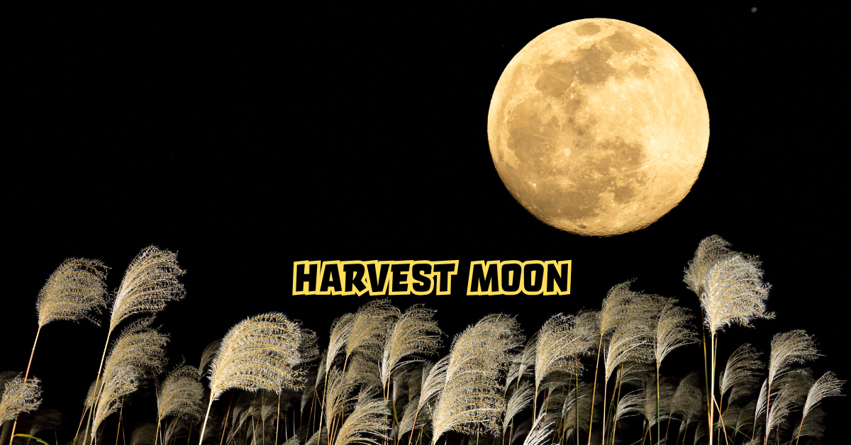 Harvest Moon
