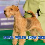 The Royal Welsh Show 2025