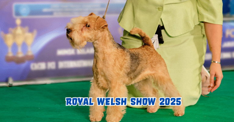 The Royal Welsh Show 2025