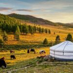 Countryside Mongolia