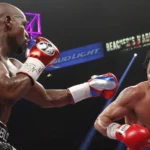 Boxing Weight Divisions