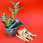 Ashwagandha para que sirve